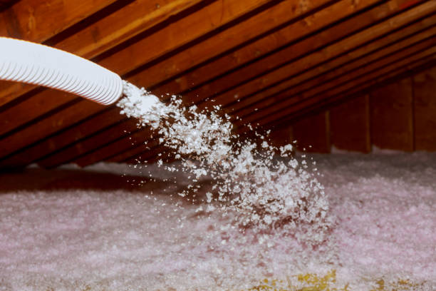 Best Specialty Insulation in Inez, TX