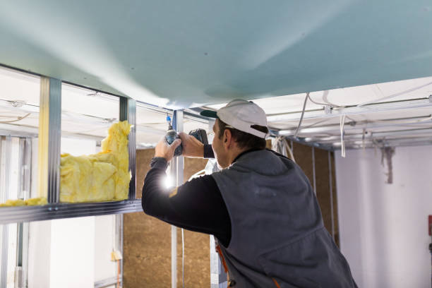 Best Insulation Installation Services in Inez, TX