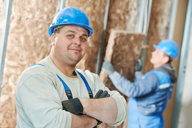 Best Insulation Maintenance and Repair in Inez, TX