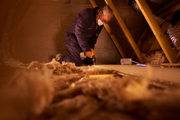 Best Insulation Installation Services in Inez, TX